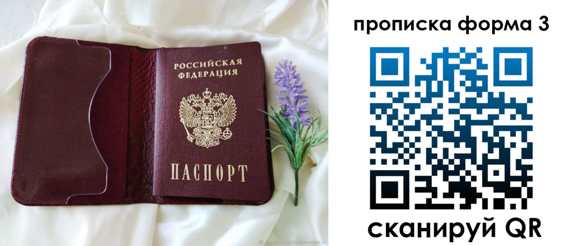 прописка 2025 в Канаше
